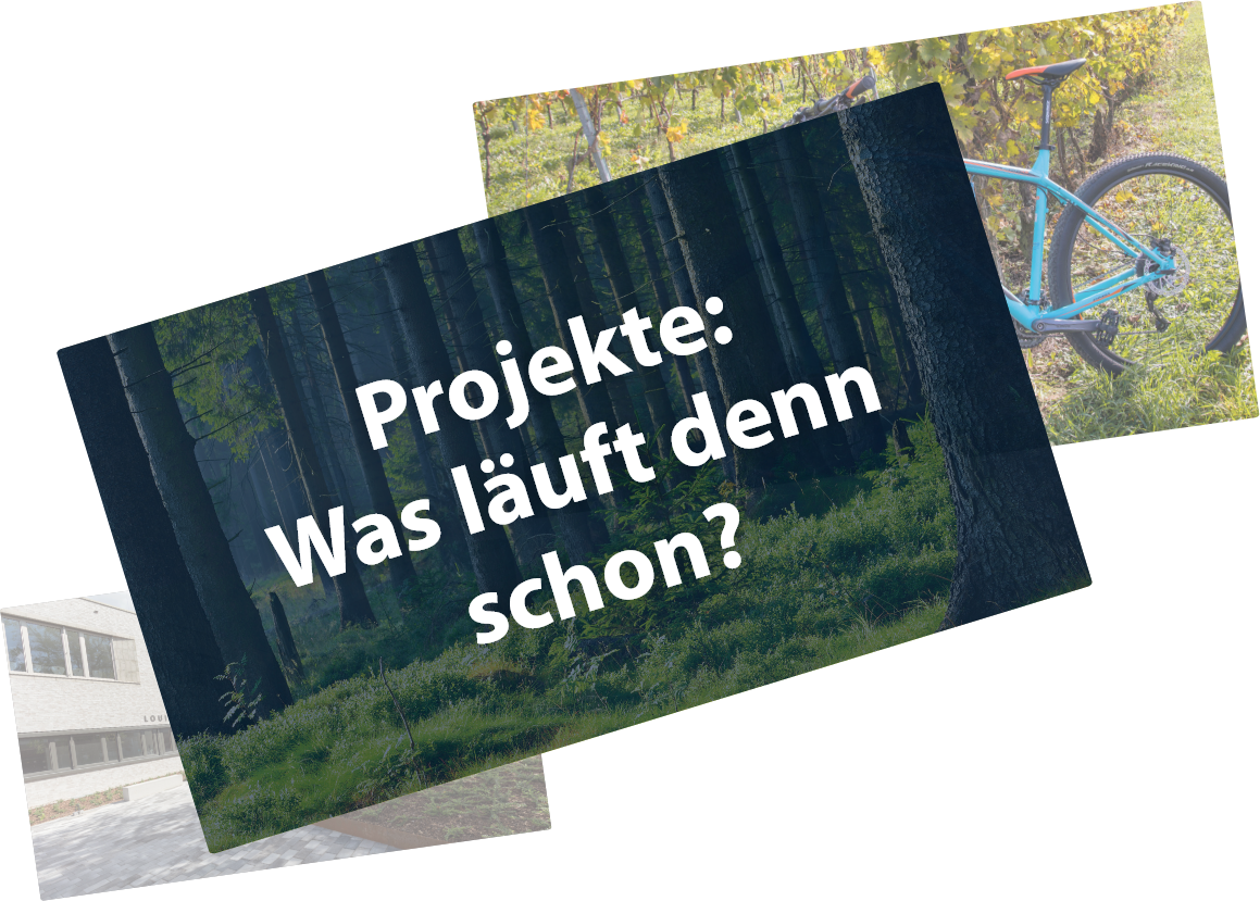 Link zur Seite "Was läuft denn schon" auf einem Waldbild