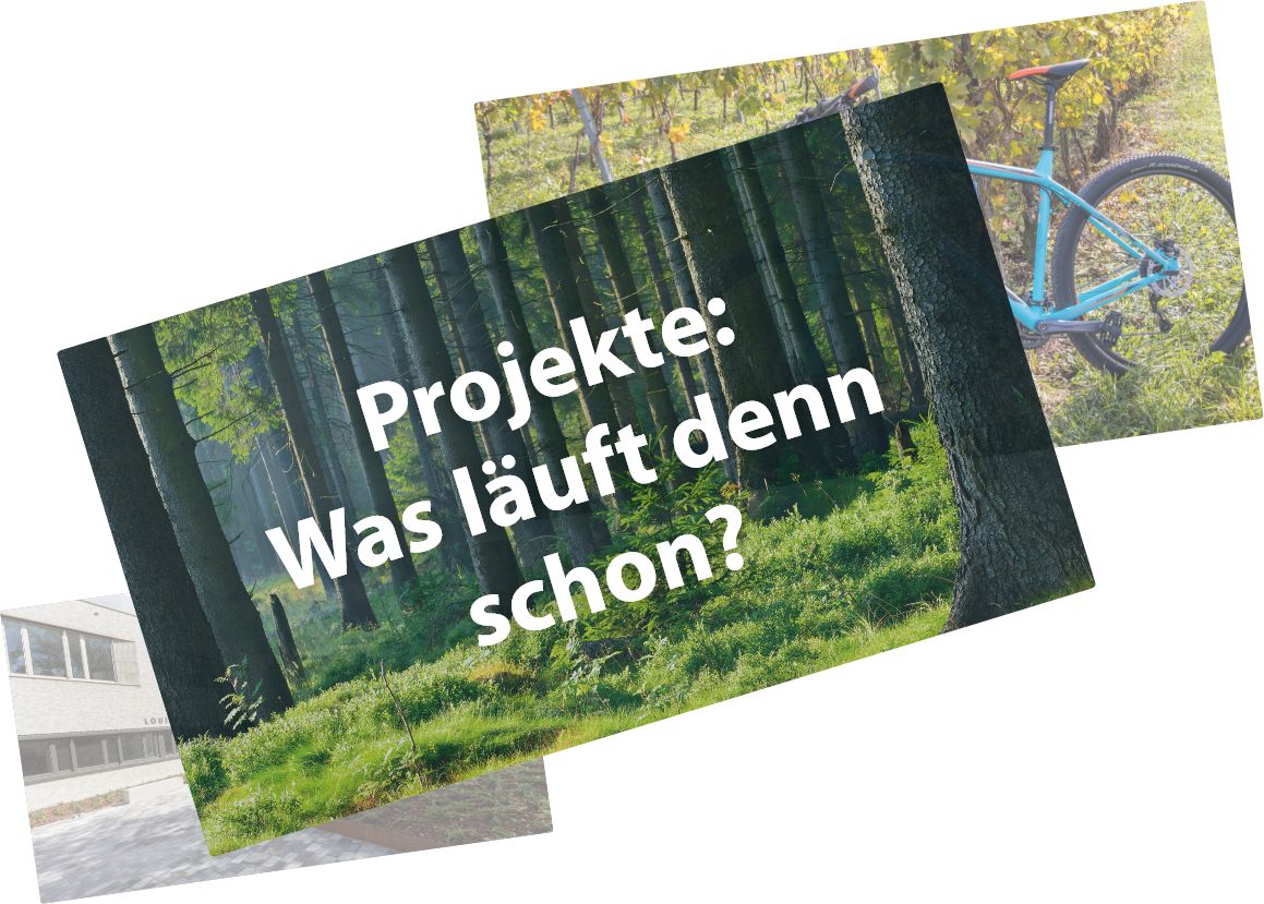 Link zur Seite "Was läuft denn schon" auf einem Waldbild